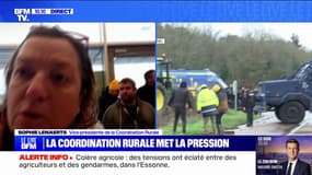 Crise agricole: Sophie Lenaerts (Coordination rurale) réclame des "points de chute sur Paris" pour que les agriculteurs "puissent communiquer avec la presse et la société"