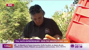TVA : la réforme sur l'exemption des auto-entrepreneurs suspendue