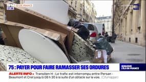 Grève des éboueurs à Paris: des habitants du 16e arrondissement ap 
