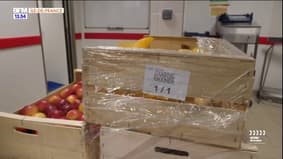 Action ! : consommer local en Val-de-Marne