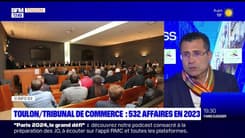 Var Business du mardi 2 avril - Tribunal de Commerce de Toulon : 532 affaires en 2023 