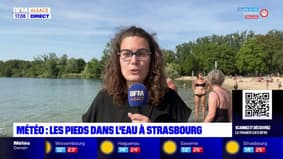 Météo en Alsace: un avant-goût de l'été