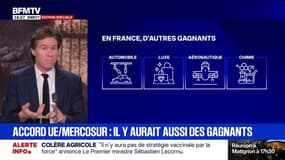 Accord entre l'UE et le Mercosur: quels secteurs pourraient en sortir gagnant?