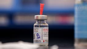 Un flacon de vaccin Moderna - Image d'illustration 