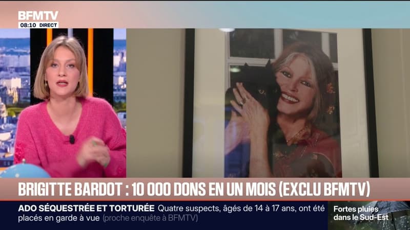 Un mois après la mort de Brigitte Bardot, la fondation qu'elle a créé continue de recevoir des dons et des lettres de soutien