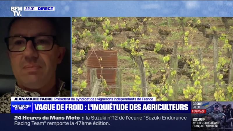 Jean-Marie Fabre (vigneron dans l'Aude, patrons des vignerons indépendants) s'inquiète de voir ses récoltes 
