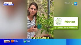Jardinage & Flûte enchantée - La météo de Colas du mardi 30 septembre 2025 
