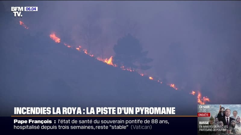 Incendies dans la vallée de la Roya: la piste criminelle n'est pas écartée