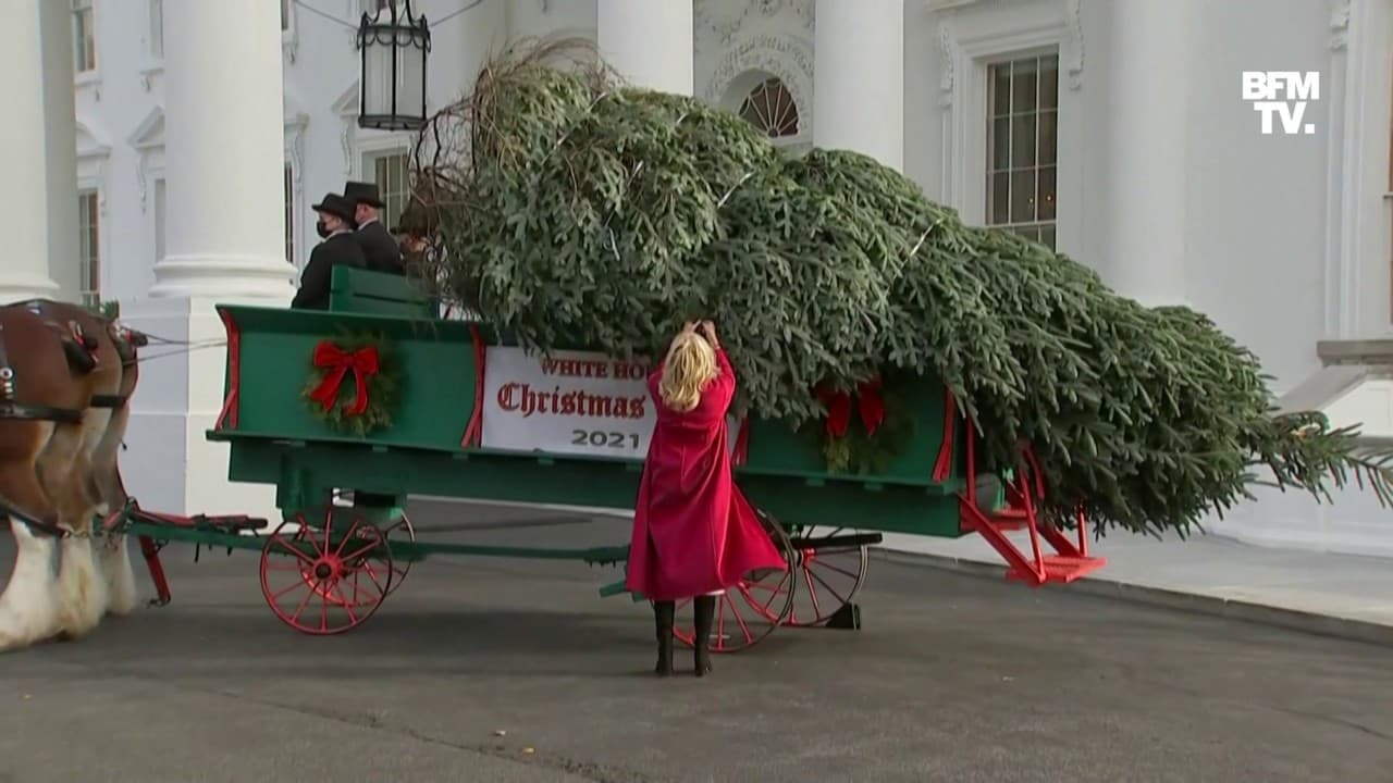 Juste avant Thanksgiving, le sapin de Noël arrive à la Maison Blanche