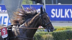 Gu d'Héripré est une priorité dans le Prix de Belgique