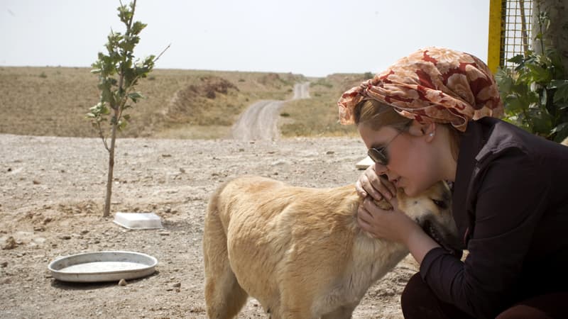 Ce refuge, construit dans la ville de Hashtgerd, à 70 kilomètres de Téhéran, est le premier d'Iran. Comme cette chienne, de nombreux animaux abandonnés y ont été recueillis et sont proposés à l'adoption.