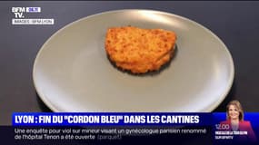 Lyon: fin du cordon bleu dans les cantines scolaires