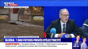 Tempête Gloria: le préfet des Pyrénées-Orientales déclare que "1000 foyers sont privés d'électricité" à 11h30