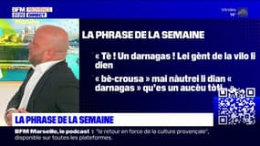 Bouon Jour Marsiho: "darnagas", le mot provençal de cette semaine