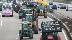 Des agriculteurs conduisent leurs tracteurs lors d'une manifestation bloquant l'autoroute A35 près de Strasbourg (Alsace), le 30 janvier 2024.