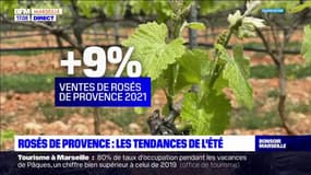 Rosés de Provence : les tendances de l'été