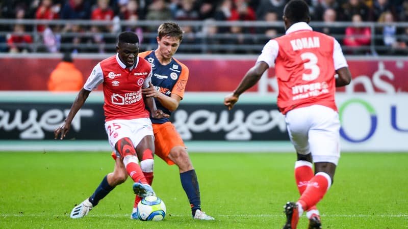 Reims/ Montpellier