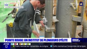 Pointe-Rouge : un institut de plongeurs d'élite