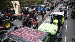 Des tracteurs rassemblés (illustration)