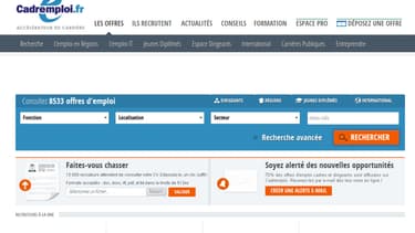 Les sites spécialisés dans la recherche d'emploi se sont multipliés ces dernières années.