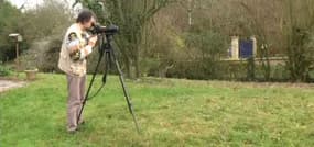Hiver doux: les oiseaux migrateurs moins nombreux