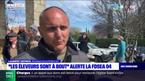 "Un point de rupture": le président de la FDSEA des Alpes-de-Haute-Provence alerte sur les attaques répétées des loups