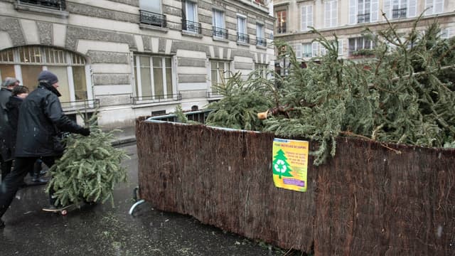 174 points de collecte sont mis à la disposition des Parisiens