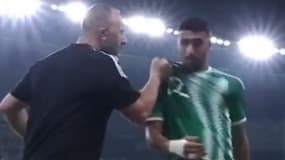 Djamel Belmadi et Saïd Benrahma lors de Algérie-Egypte, le 16 octobre 2023
