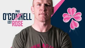Paul O'Connell rejoint le Stade Français