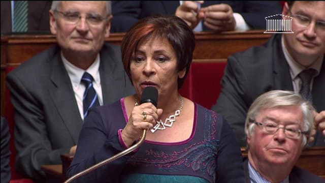 La députée UMP Marie-Christine Dalloz à l'Assemblée nationale le 19 novembre 2013.