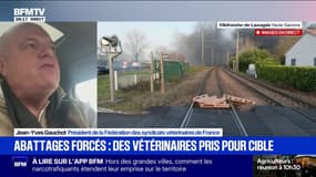 Abattages de bovins: "On a perdu le crédit du discours scientifique", déclare le président de la fédération des syndicats vétérinaires de France