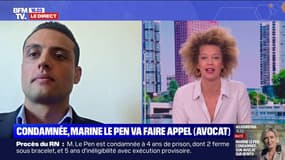 Procès RN: "Qu'est-ce qu'on aurait dit si c'était dans un pays comme la Hongrie d'Orban?", s'interroge Aleksandar Nikolic, député européen RN