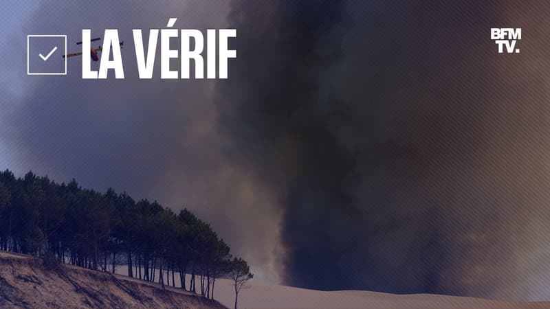 LA VÉRIF - Incendies en Gironde: la forêt de la Teste-de-Buch était-elle assez entretenue?