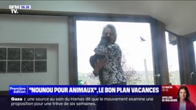 Ces Français partent en vacances gratuitement en échange d'une garde d'animaux