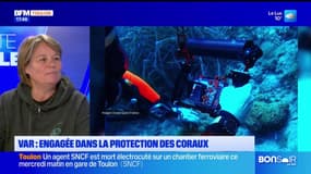 Planète locale du mercredi 22 janvier - Var : Replanter des boutures pour protéger les coraux