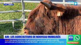 Ain: la Confédération paysanne de nouveau mobilisée contre le Mercosur