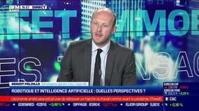 Benoît Peloille (Vega IM) : Robotique et intelligence artificielle, quelles perspectives ? - 27/08