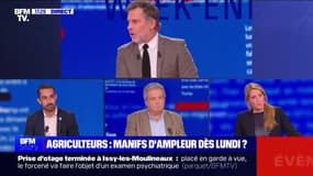 Story 3 : Un an après, les agriculteurs se remobilisent - 16/11