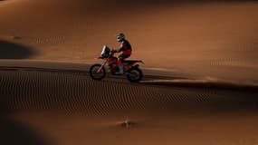 Toby Price