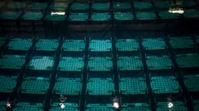 Une piscine d'entreposage de combustibles nucléaires du site Orano de La Hague, le 14 décembre 2022