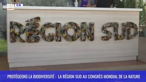 Protégeons la biodiversité : la Région Sud au Congrès Mondial de la Nature