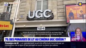 Punaises de lit: des salariés de l'entreprise UGC mettent en cause la gestion par la direction