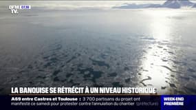 La banquise est à son niveau le plus bas en raison d'une chaleur hors norme
