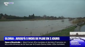 Tempête Gloria: jusqu'à 5 mois de pluie sont tombés en 3 jours dans les Pyrénées-Orientales