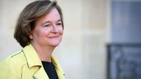 Nathalie Loiseau, ex-ministre auprès du ministre de l'Europe et des Affaires étrangères à l'Elysée le 14 novembre 2018. - LUDOVIC MARIN / AFP