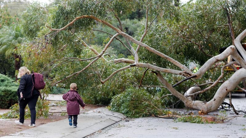 Des rafales jusqu'à 288km/h: le cyclone Ilsa a touché terre en Australie