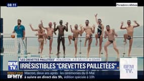 Bon démarrage pour les crevettes pailletées