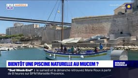Marseille: bientôt une piscine naturelle au Mucem?