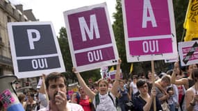 Des manifestants favorables à la PMA lors de la Marche des fiertés à Paris en 2013.
