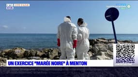 Alpes-Maritimes: un exercice "marée noire" à Menton
